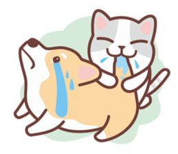 CAT BOX sticker #5048505