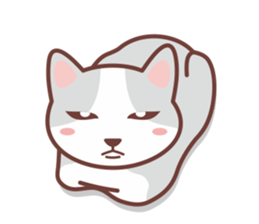 CAT BOX sticker #5048507