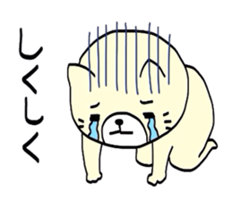 I'm Neko an ordinary cat. sticker #5050269