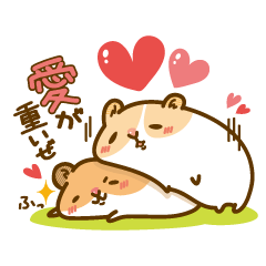 Daily life of a hamster