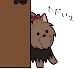 Yorkshire Terrier girl sticker sticker #5057873