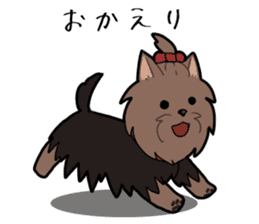 Yorkshire Terrier girl sticker sticker #5057874