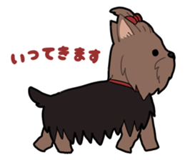 Yorkshire Terrier girl sticker sticker #5057875