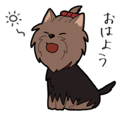 Yorkshire Terrier girl sticker sticker #5057877