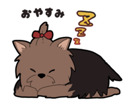 Yorkshire Terrier girl sticker sticker #5057878