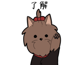 Yorkshire Terrier girl sticker sticker #5057879