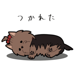 Yorkshire Terrier girl sticker sticker #5057881