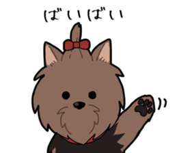 Yorkshire Terrier girl sticker sticker #5057883