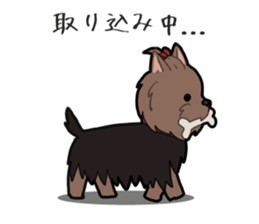 Yorkshire Terrier girl sticker sticker #5057884