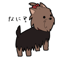 Yorkshire Terrier girl sticker sticker #5057885