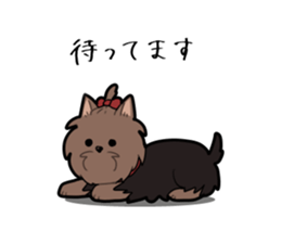 Yorkshire Terrier girl sticker sticker #5057890
