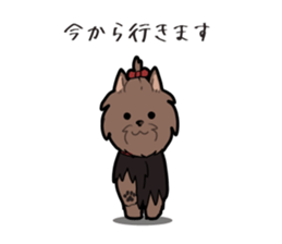 Yorkshire Terrier girl sticker sticker #5057899