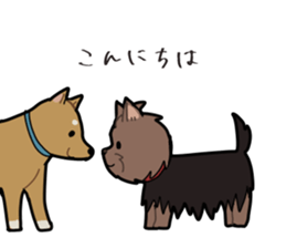 Yorkshire Terrier girl sticker sticker #5057900