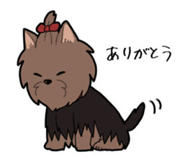 Yorkshire Terrier girl sticker sticker #5057907