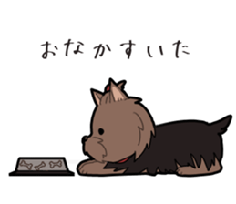 Yorkshire Terrier girl sticker sticker #5057908