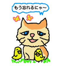 Cat and duckling(funny face version 2) sticker #5061164