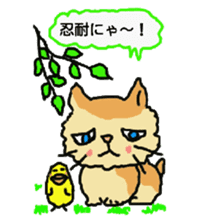 Cat and duckling(funny face version 2) sticker #5061181