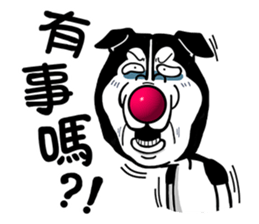 Maybe:Taki Solo sticker #5061636