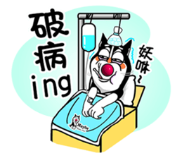 Maybe:Taki Solo sticker #5061665