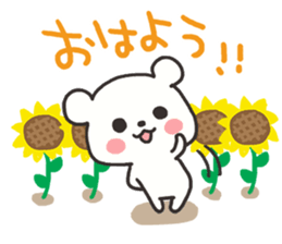 Summer bear sticker #5062085