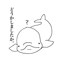 Beluga-chan sticker #5063923