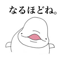 Beluga-chan sticker #5063931