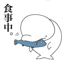 Beluga-chan sticker #5063940