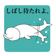Beluga-chan sticker #5063947
