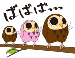 Fuku-kun sticker of Lucky Owl sticker #5064003