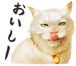 neko samurai Kyutaro&Tamanojyo sticker #5065150