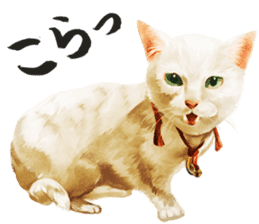 neko samurai Kyutaro&Tamanojyo sticker #5065154