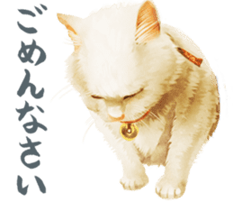 neko samurai Kyutaro&Tamanojyo sticker #5065155