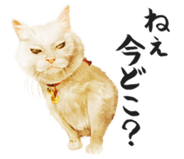 neko samurai Kyutaro&Tamanojyo sticker #5065161