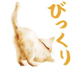 neko samurai Kyutaro&Tamanojyo sticker #5065163