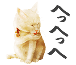 neko samurai Kyutaro&Tamanojyo sticker #5065164