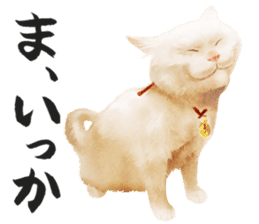 neko samurai Kyutaro&Tamanojyo sticker #5065166