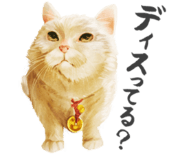 neko samurai Kyutaro&Tamanojyo sticker #5065169