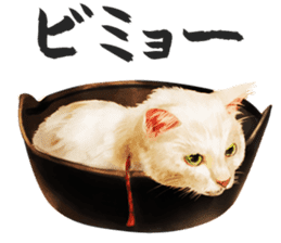 neko samurai Kyutaro&Tamanojyo sticker #5065170