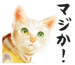 neko samurai Kyutaro&Tamanojyo sticker #5065171