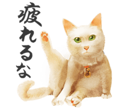 neko samurai Kyutaro&Tamanojyo sticker #5065182