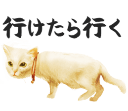 neko samurai Kyutaro&Tamanojyo sticker #5065185