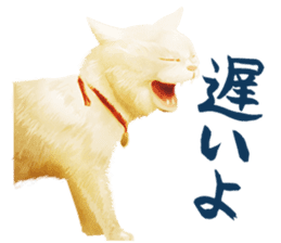 neko samurai Kyutaro&Tamanojyo sticker #5065188