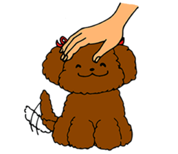 pokopokopoko sticker #5069886