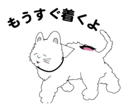 one day of calico cat mako sticker #5069910