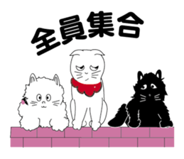 one day of calico cat mako sticker #5069916