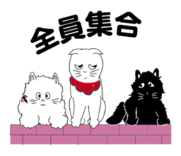 one day of calico cat mako sticker #5069916