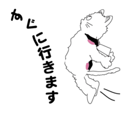 one day of calico cat mako sticker #5069925