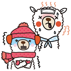 Three alpacas - Hot and cold