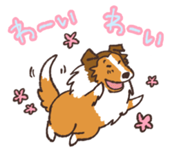 I Love Sheltie2 sticker #5075997