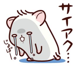 Hamster / Nagomu 3 sticker #5078803